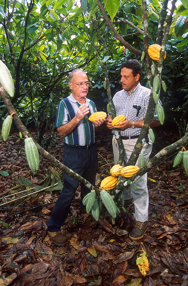 Technician Stephen Pinney and visiting scientist Kun Ji prepare cacao leaf samples for DNA fingerprinting, at the Sustainable Perennial Crops Laboratory in Beltsville, Maryland