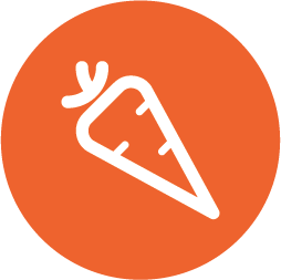 Carrots fruit icon