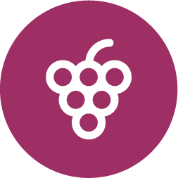 Grapes fruit icon