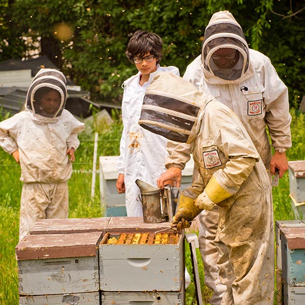 a family of apiarists