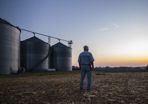 A person looking out at the sunset on a farm