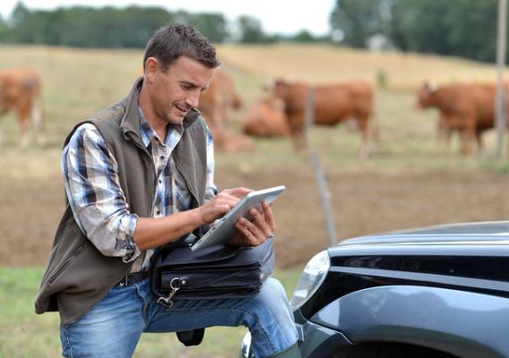 Breeder in farm using digital tablet