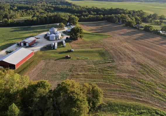 A farm with trees