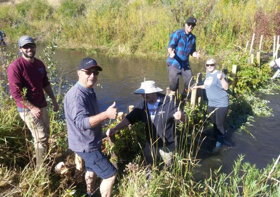 TU Volunteers build a beaver dam analog structure in Utah