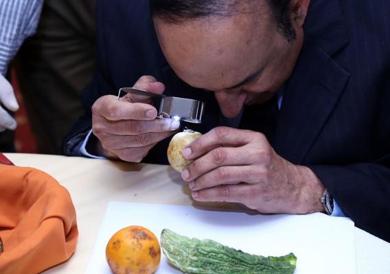 A person looking through a magnifying glass