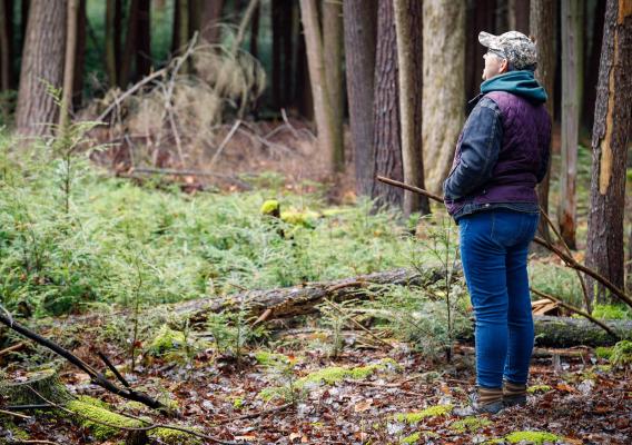 A person looking at a forest