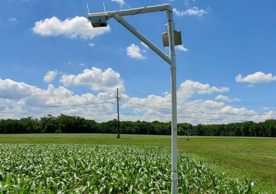 A StressCam monitors drought conditions at a Long-term Agroecosystem Research Network cornfield in Beltsville, Md