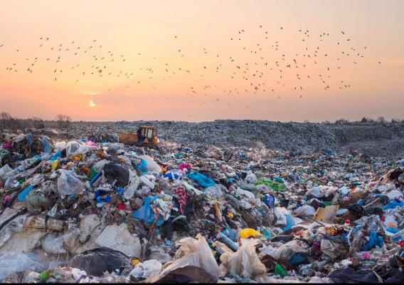 A landfill