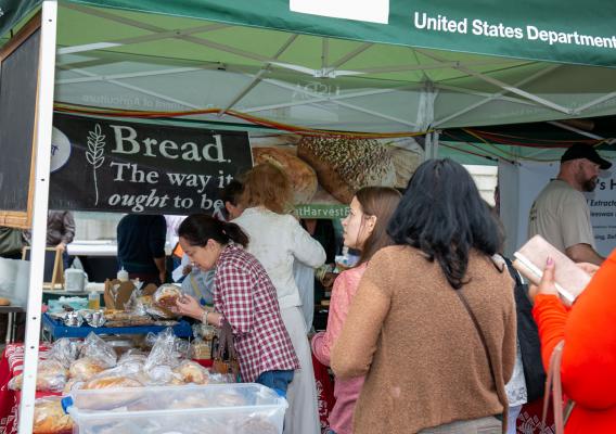 People at the USDA Farmers' Market