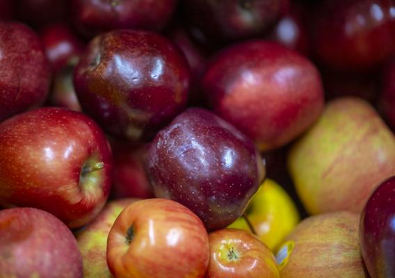 A batch of apples