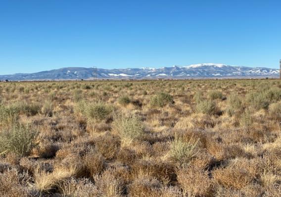 Desert photo with mountains in the background