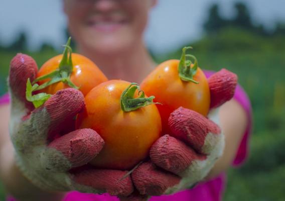 A person with gloves holding vegetables