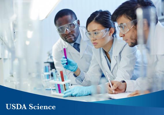 Three scientists looking at a vial with USDA Science overlay