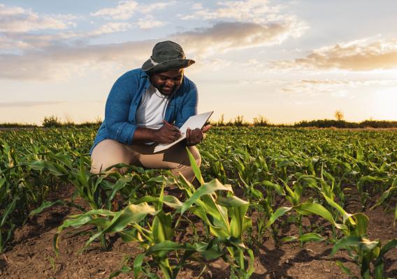 A person making notes in a field