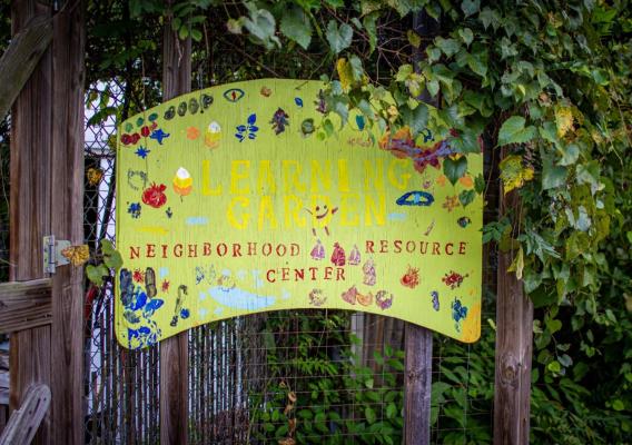 A bright yellow sign hanging on a wire fence that is covered with green plants. It has been decorated by kids with multi-colored paint and reads “Learning Garden-Neighborhood Resource Garden.”