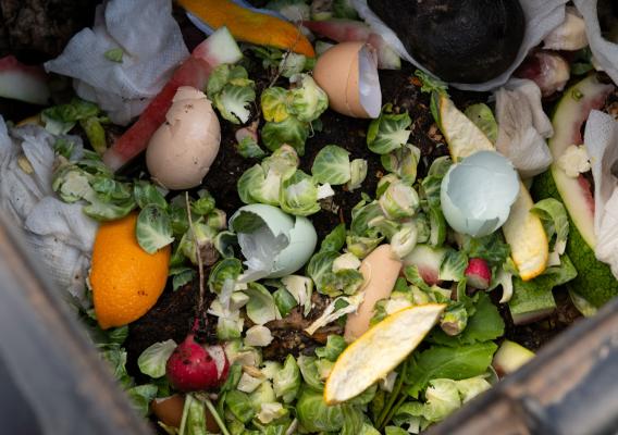 Food in the garbage