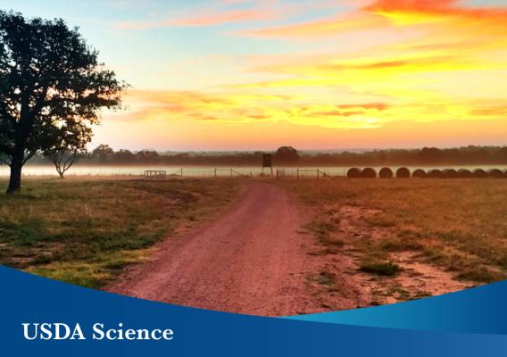 C.G. Merlo Ranch in San Saba, Texas