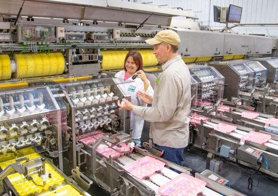 USDA Shell Egg Graders perform sanitation pre-op inspections to ensure the shell egg processing machines are properly cleaned before starting the day’s operation