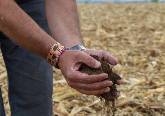 A person holding soil