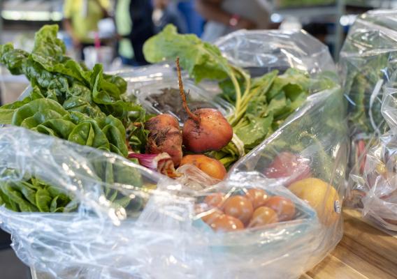 Bags of fresh fruits and vegetables