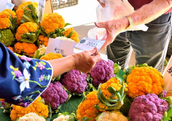 Person handing voucher to farmers market vendor to purchase cauliflower