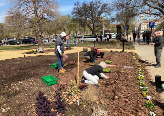 Volunteers in the People’s Garden