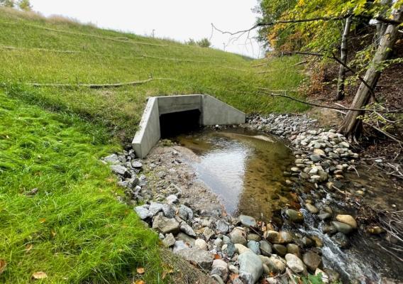 Stream crossing after restoration