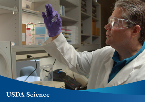 A scientist holding a vial in a lab with USDA Science text overlay