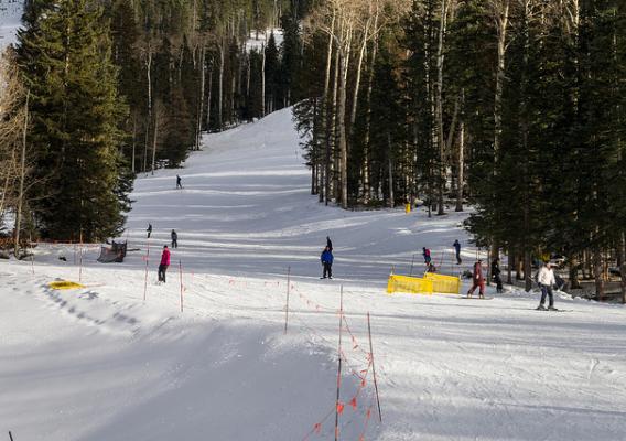 The Arizona Snowbowl