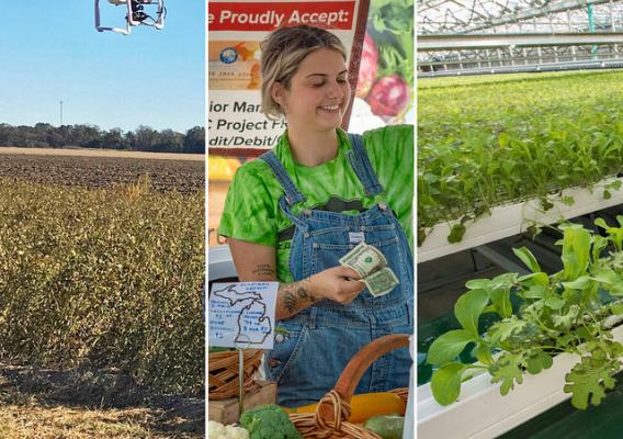 A photo collage of an UAV, a farmer's market and hydroponic system